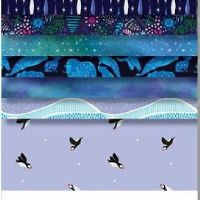 dsCPSTELLA-SQUARE-NORTHERN SKIES